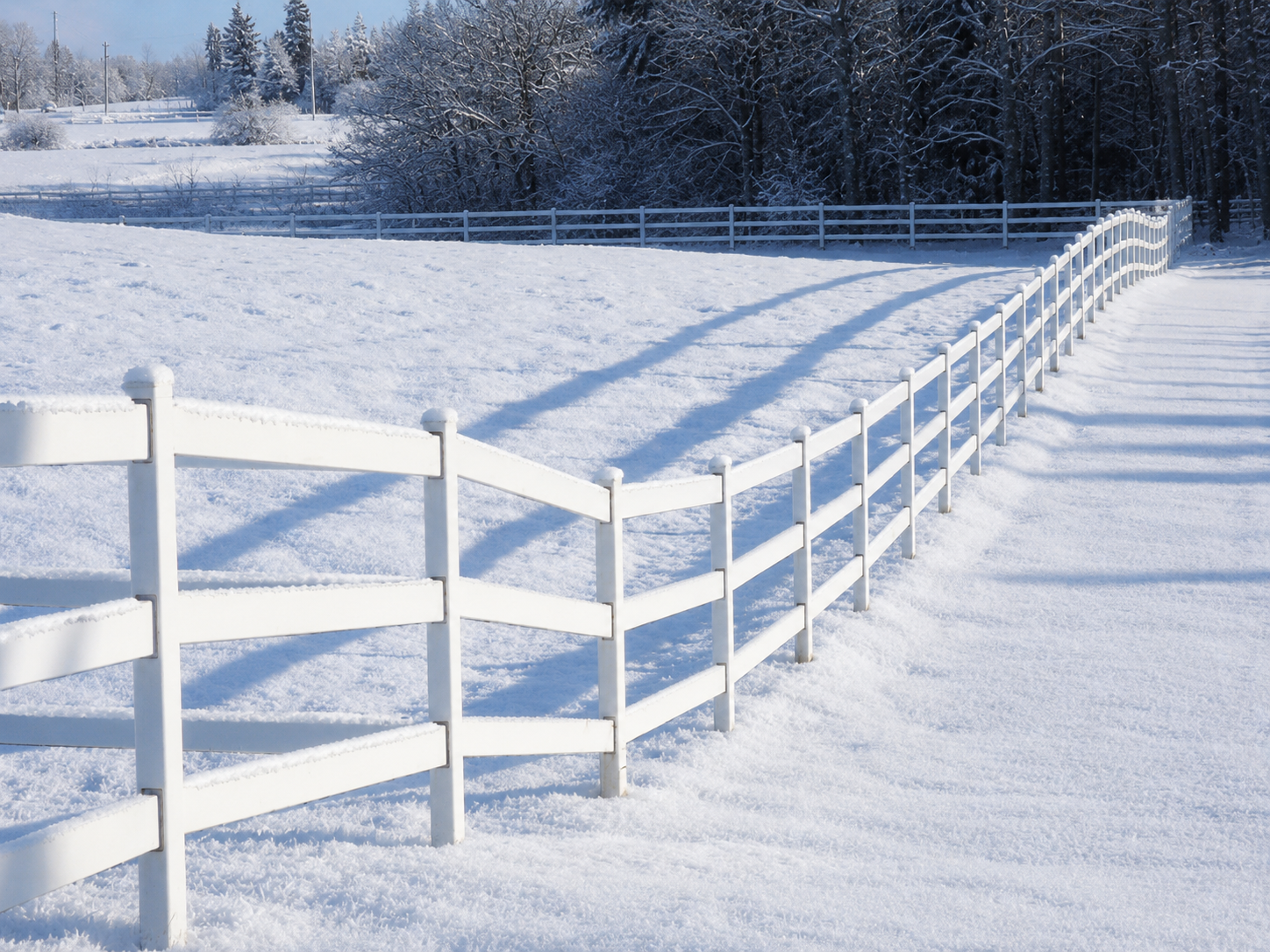 Classic gloss white three-rail Kuptz Steel Fence following the contour of a green pasture